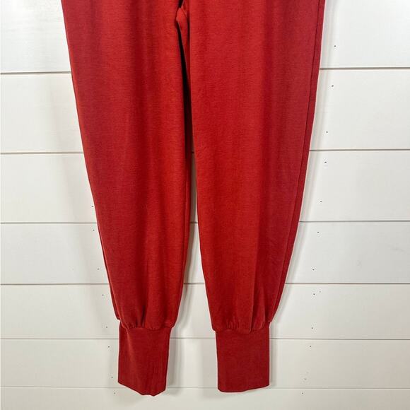 NEW with tags Walter Baker Devon Super Soft Garnet Jogger Pant, Small, MSRP $168 - Picture 5 of 13